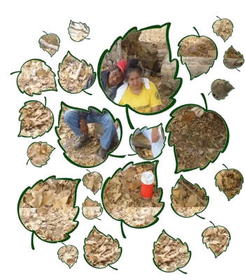 imagen principal del hero